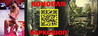 прущие грибы Донецк
