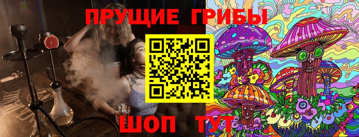 Галлюциногенные грибы Psilocybe  Галлюциногенные грибы GOLDEN TEACHER  Вход с VPN  Нижний Новгород 
